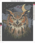 Thumbnail for Owl in Dark diamond painting adhesive canvas 40x50cm