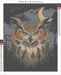 Thumbnail for Owl in Dark diamond painting adhesive canvas 40x50cm