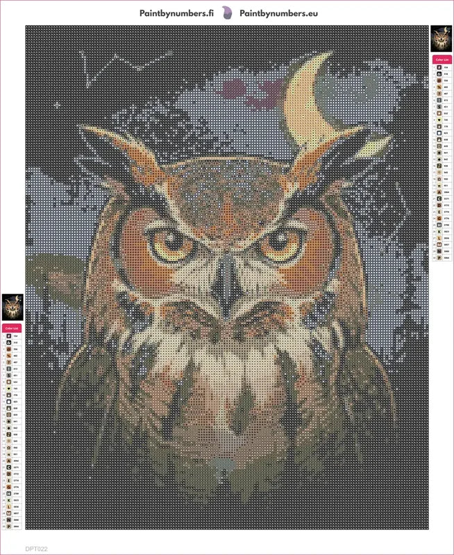 Owl in Dark diamond painting adhesive canvas 40x50cm
