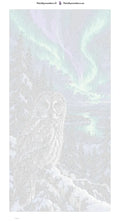 Thumbnail for Paint by numbers numbered canvas - Owl under the Aurora 40x80cm