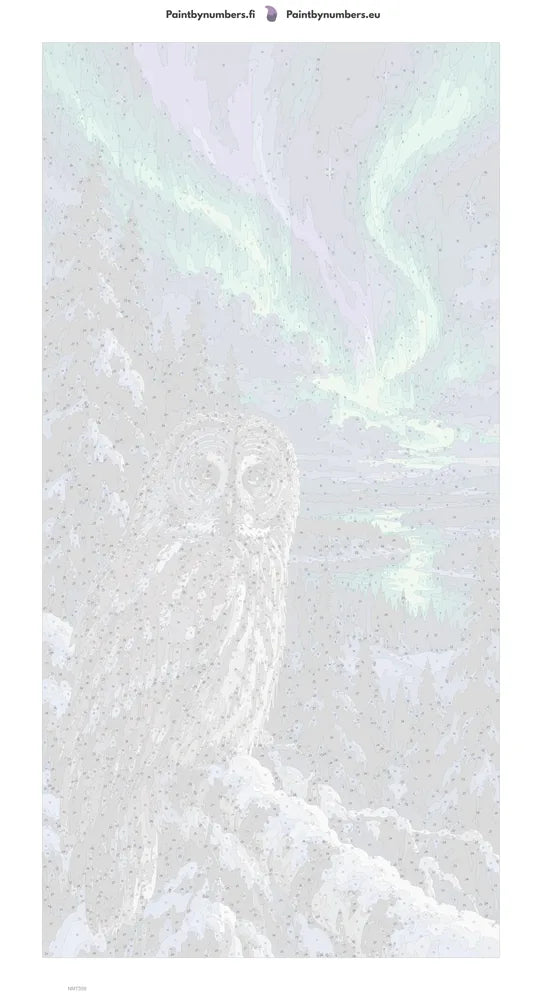 Paint by numbers numbered canvas - Owl under the Aurora 40x80cm