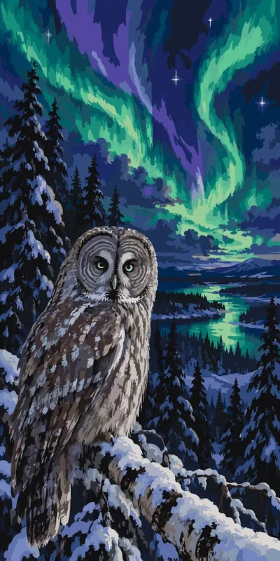 Owl in snowy forest with northern lights paint by numbers