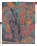 Thumbnail for Paint Splash Elephant diamond painting adhesive canvas 40x50cm