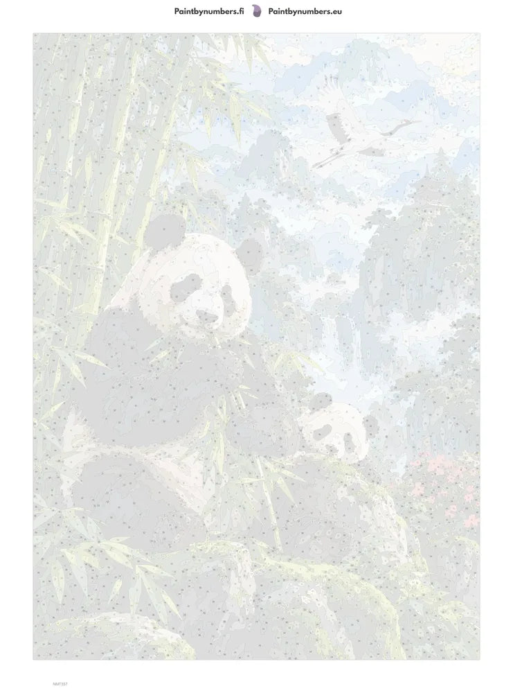 Paint by numbers numbered canvas - Panda in the Misty Bamboo 50x70cm