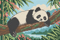 Miniatyrbild: En panda vilar på en sned gren med svarta tassar hängande över kanten