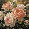 Miniatyrbild: Diamantmönster för Peach and White Roses
