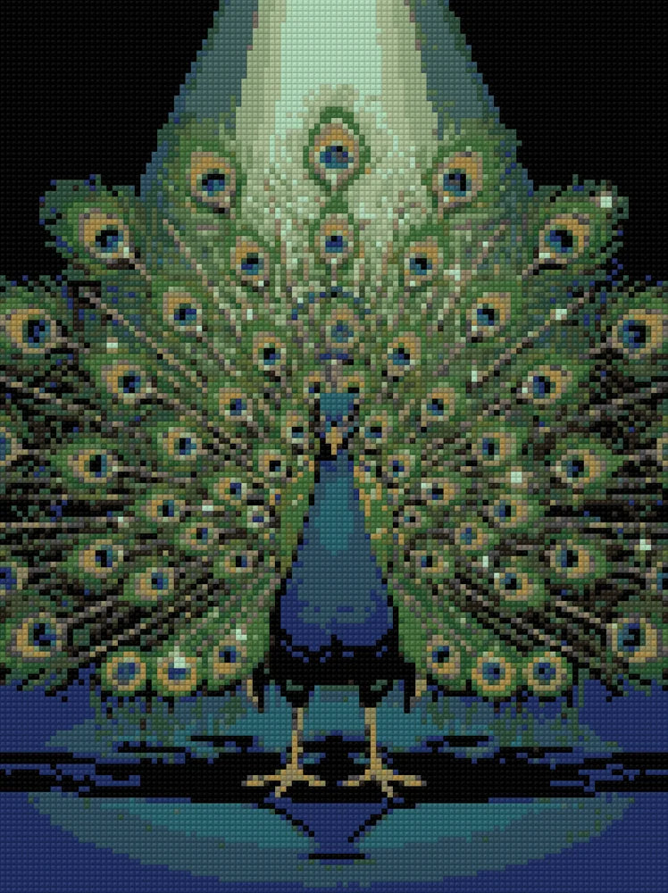 Diamond Pattern - Peacock Display