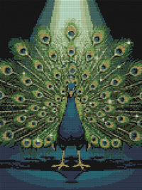 Thumbnail for Diamond Pattern - Peacock Display