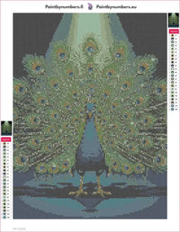 Thumbnail for Peacock Display diamond painting adhesive canvas 30x40cm