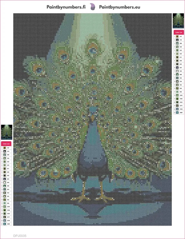 Peacock Display diamond painting adhesive canvas 30x40cm