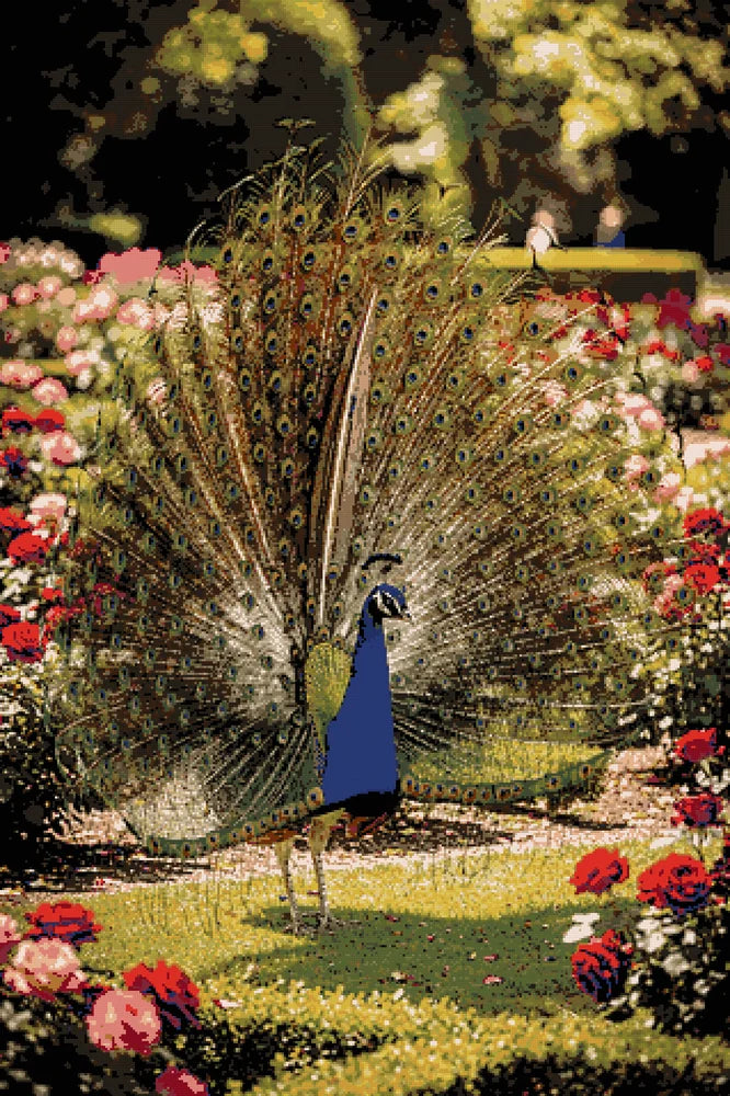Diamond pattern - Majestic Garden Peacock