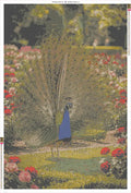 Thumbnail for Peacock in Rose Garden diamond painting adhesive canvas 80x120cm