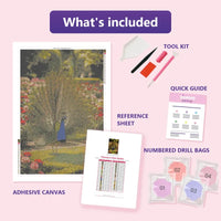 Thumbnail for Peacock in Rose Garden 80x120cm diamond painting kit contents: adhesive canvas, color chart, tools and diamond bags