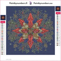 Thumbnail for Diamond painting adhesive canvas preview - Poinsettia Mandala