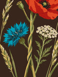 Thumbnail for Paint by numbers of a red poppy, blue cornflower, yarrow and ears of grain on a dark brown background