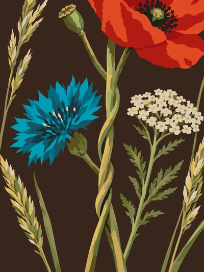 Paint by numbers of a red poppy, blue cornflower, yarrow and ears of grain on a dark brown background