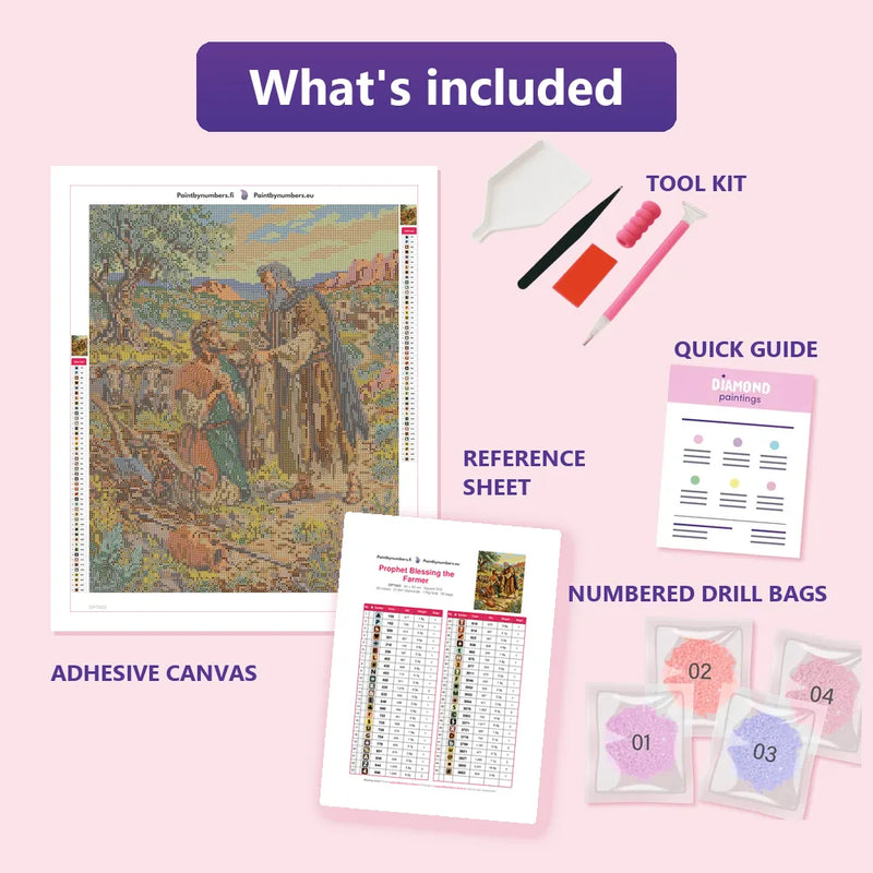 What is included in the Prophet Blessing the Farmer diamond painting kit - adhesive canvas, reference sheet, tools and numbered drill bags