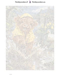 Thumbnail for Paint by numbers numbered canvas - Puddle Jumper 30x40cm