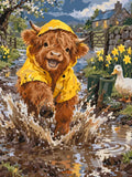Thumbnail for Highland calf in yellow raincoat splashing in puddle paint by numbers