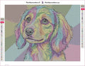 Thumbnail for Rainbow Puppy diamond painting adhesive canvas 40x30cm