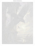Thumbnail for Paint by numbers numbered canvas - Raven and Old Tower 60x80cm