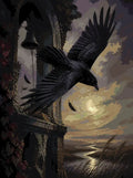 Thumbnail for Raven and old tower paint by numbers, dramatic sky