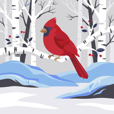 Red cardinal in snowy birch forest paint by numbers