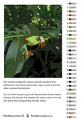 Thumbnail for Color chart and instructions - Red-Eyed Treefrog 40x50cm