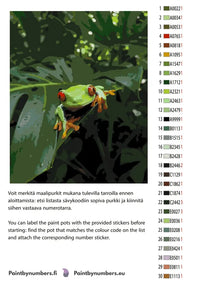 Thumbnail for Paint color chart and instructions - Red-Eyed Treefrog 40x50cm