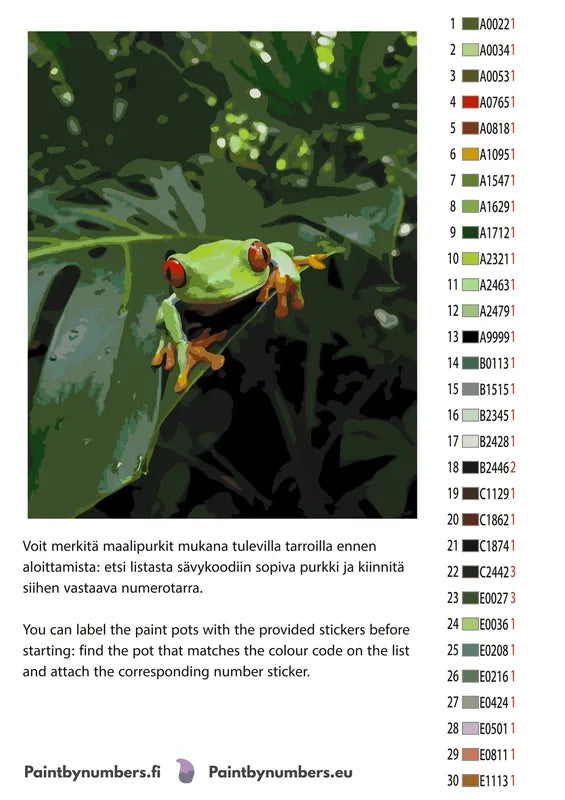 Paint color chart and instructions - Red-Eyed Treefrog 40x50cm