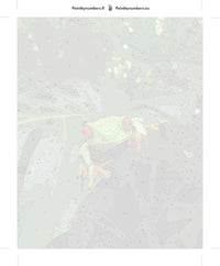Thumbnail for Paint by numbers numbered canvas - Red-Eyed Treefrog 40x50cm