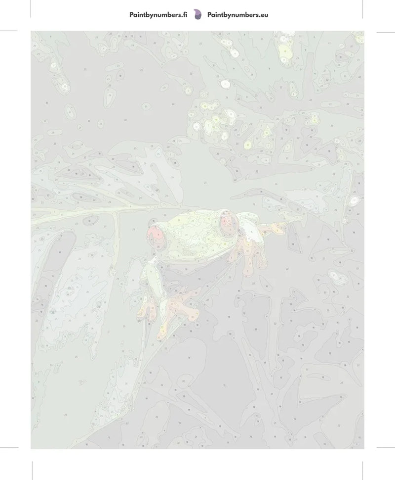 Paint by numbers numbered canvas - Red-Eyed Treefrog 40x50cm