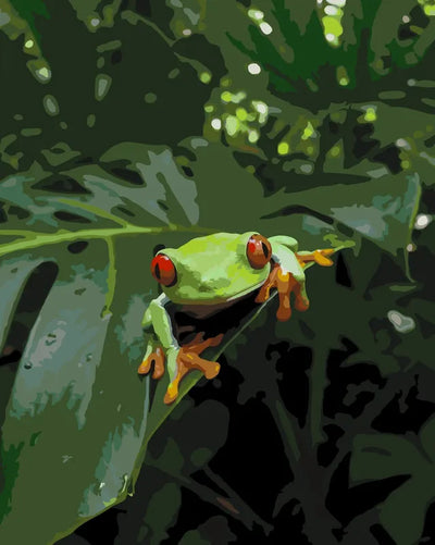 Red-eyed tree frog on green leaf paint by numbers.