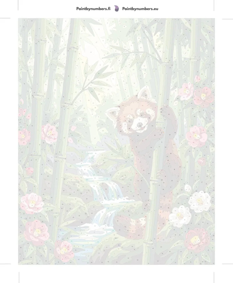 Paint by numbers numbered canvas - Red Panda in Bamboo 40x50cm