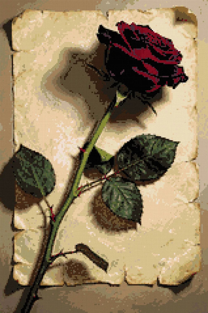 Diamond Pattern - Red Rose on Paper