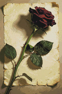 Thumbnail for Diamond Pattern - Red Rose on Paper