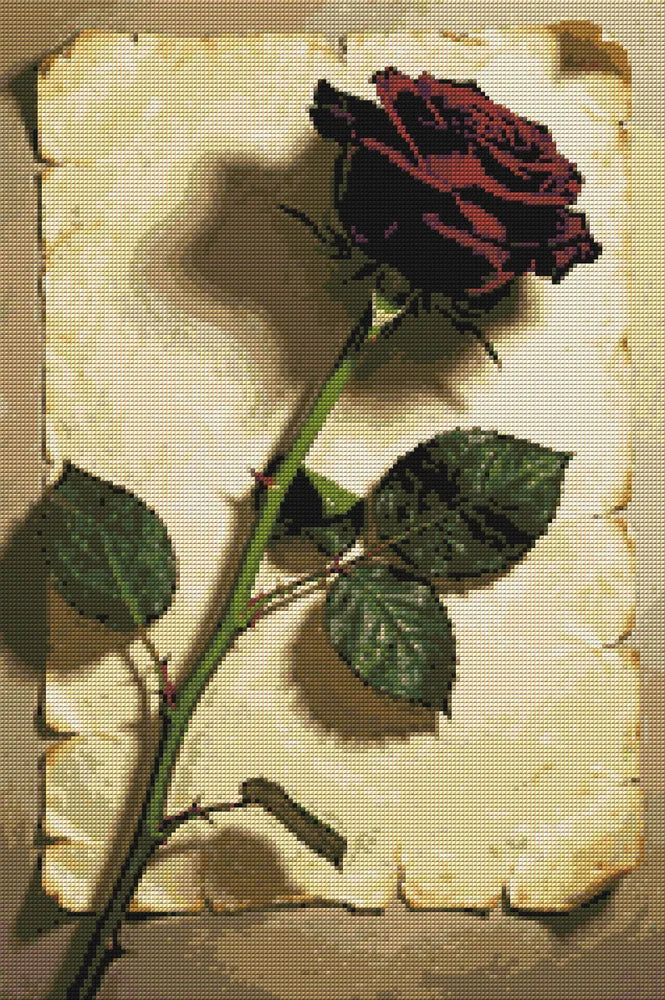 Diamond Pattern - Red Rose on Paper