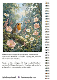 Thumbnail for Color chart and instructions - Robin on Flowering Branch 40x50cm