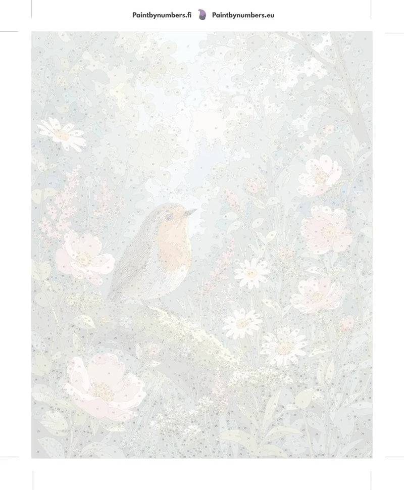 Numbered canvas - Robin on Flowering Branch 40x50cm