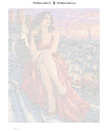 Thumbnail for Paint by numbers numbered canvas - Rooftop in Red 40x50cm