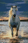 Thumbnail for Diamond pattern - Running White Horse