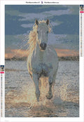 Thumbnail for Running White Horse diamond painting adhesive canvas 40x60cm