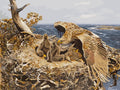Miniatyrbild: Havsörn över ungar i ett kvistbo vid havet i Bruno Liljefors Havsörnbo, ett måla efter nummer-motiv
