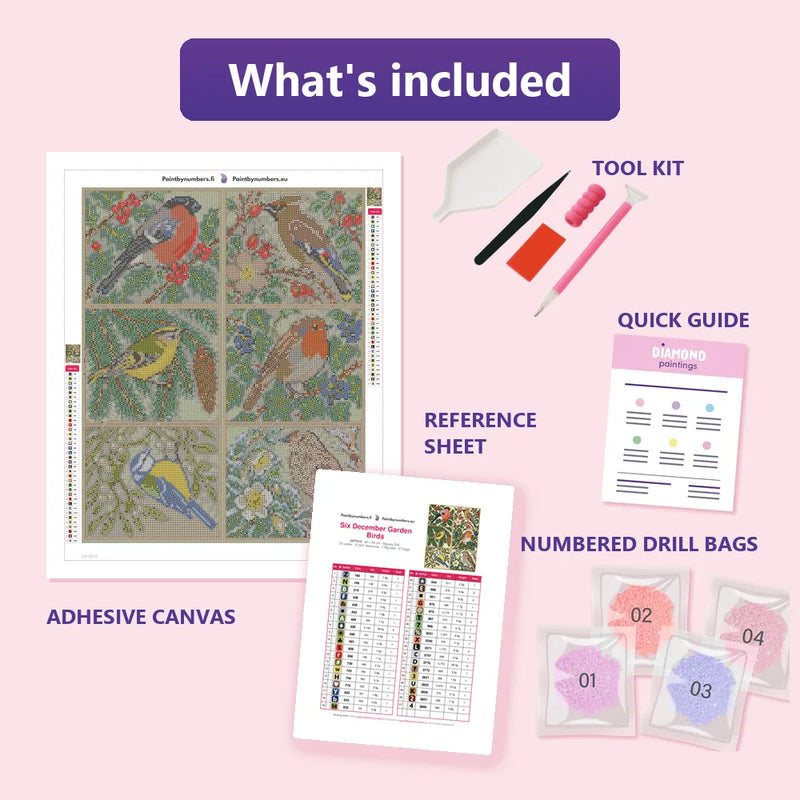 What is included in the Six December Garden Birds diamond painting kit - adhesive canvas, reference sheet, tools and numbered drill bags