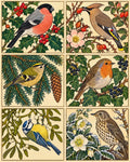Thumbnail for Six December Garden Birds, 40x50 cm diamond painting – original artwork the design is made from