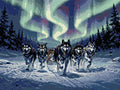 Thumbnail for Diamond Pattern - Sled Dogs at Night