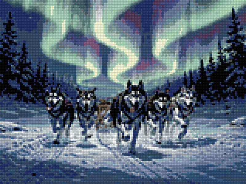 Diamond Pattern - Sled Dogs at Night