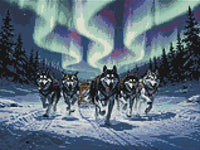 Thumbnail for Diamond Pattern - Sled Dogs at Night