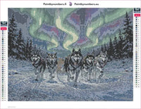 Thumbnail for Sled Dogs at Night diamond painting adhesive canvas 40x30cm