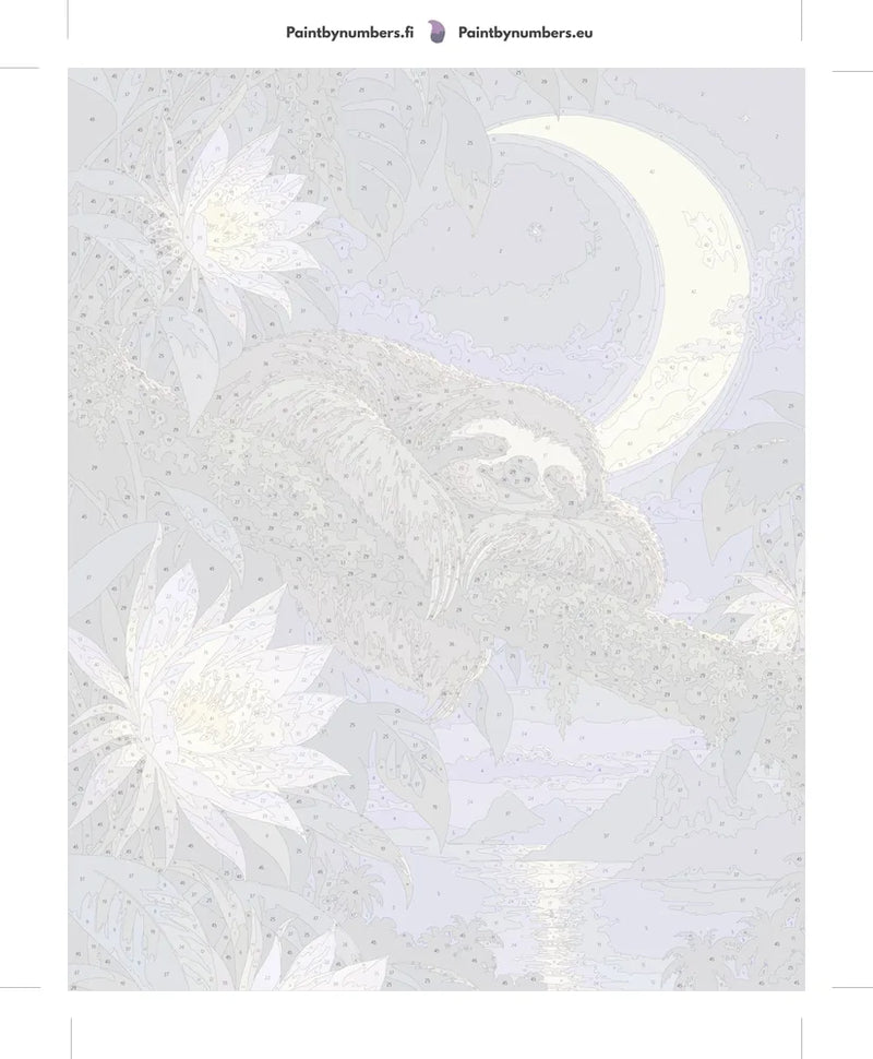 Paint by numbers numbered canvas - Sloth on Tree at Night 40x50cm